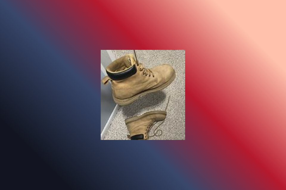 Waiting for the Other Boot to Drop... Part 2: Safety & Security